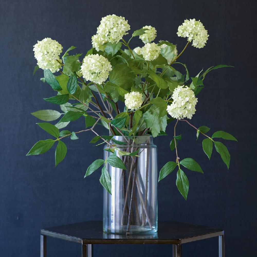 bloom Cream Guelder Rose Branch