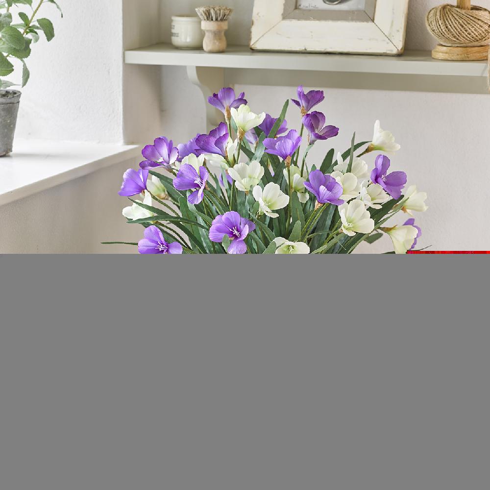 bloom Crocus Planter