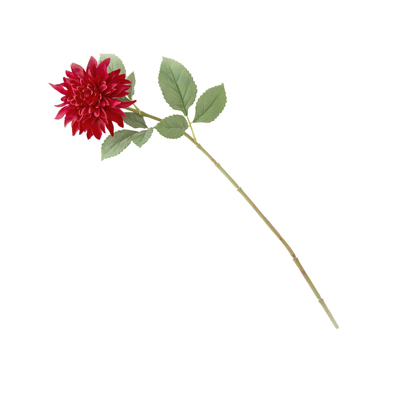 bloom Dark Red Dahlia Spray