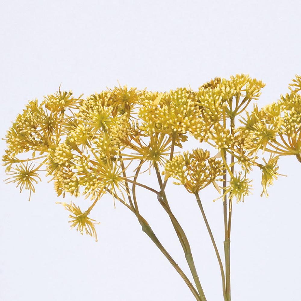 Bloom Dill Spray