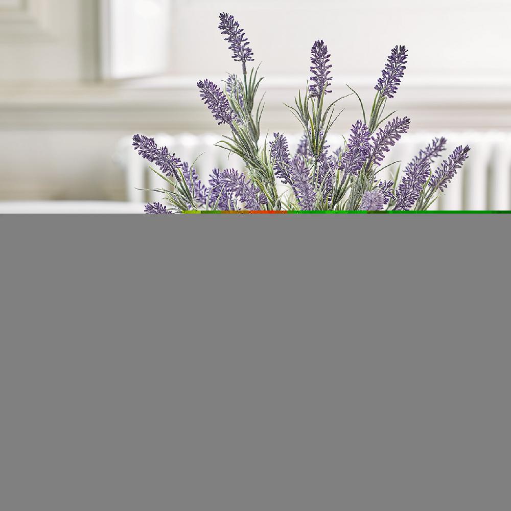 bloom Dreams of Provence Collection