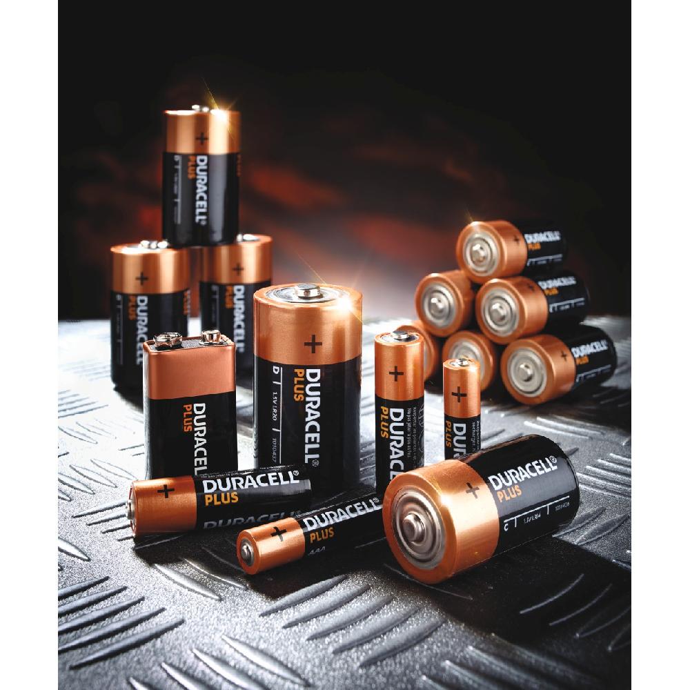 bloom Duracell Plus Batteries - C Size