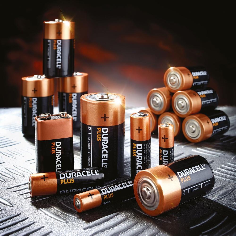 bloom Duracell Plus Batteries - D Size