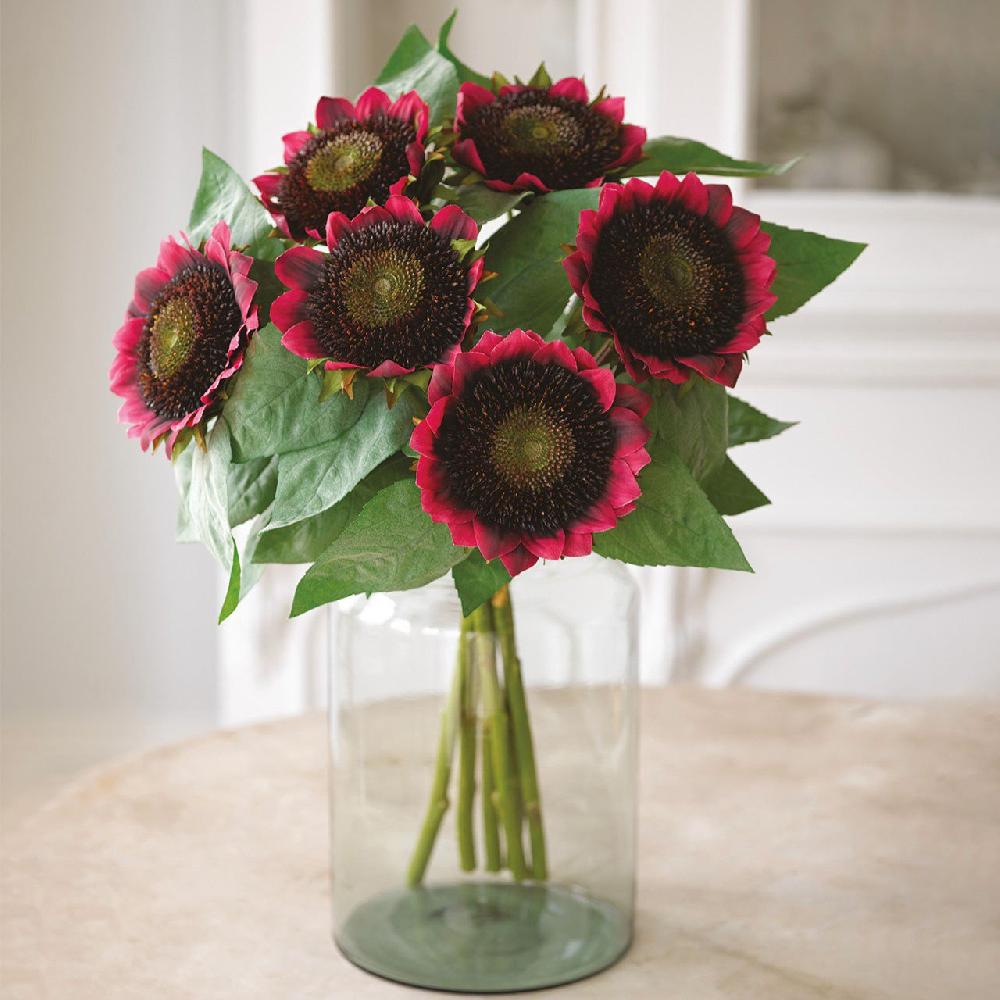 bloom Elegant Medici Jar