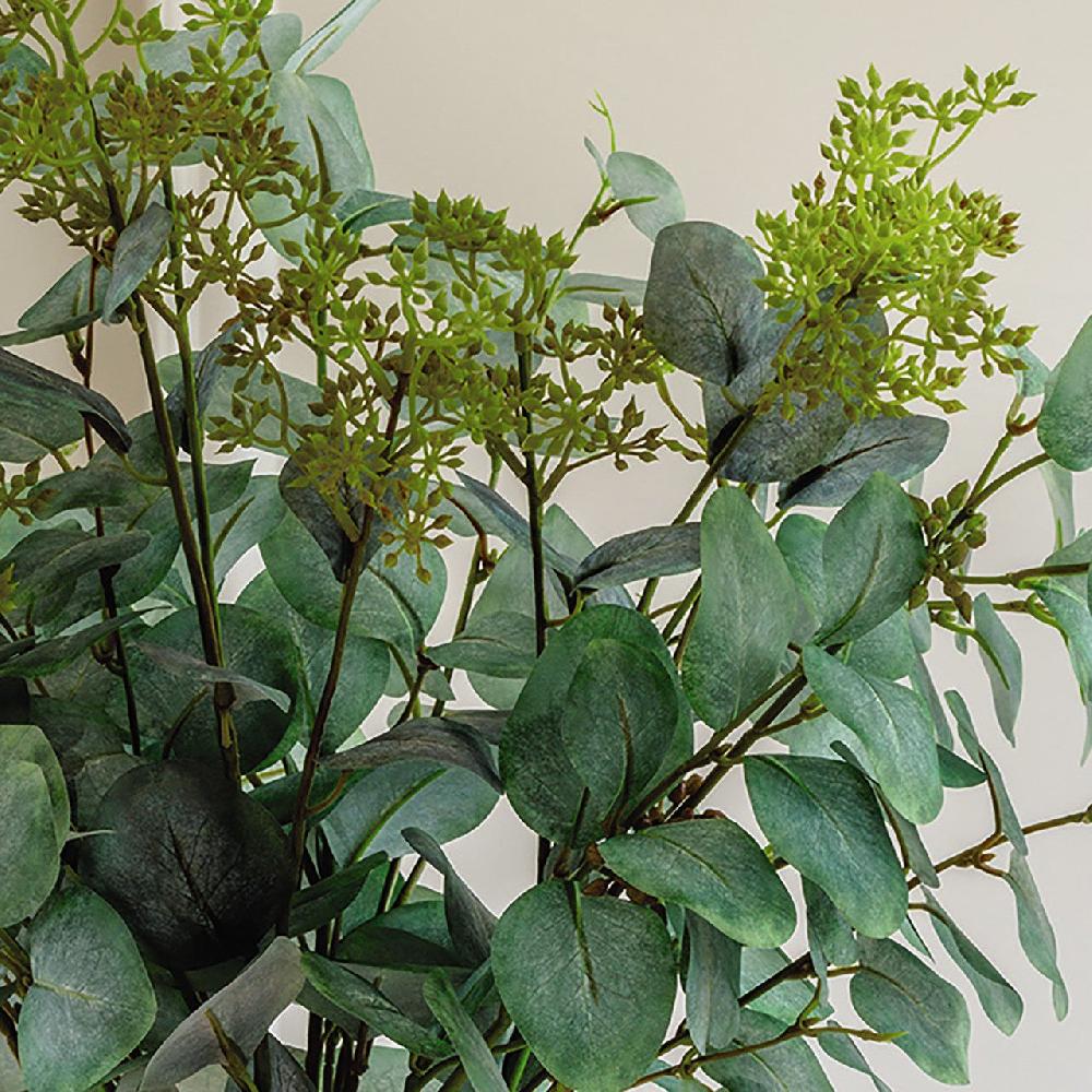 Bloom Eucalyptus Bundle