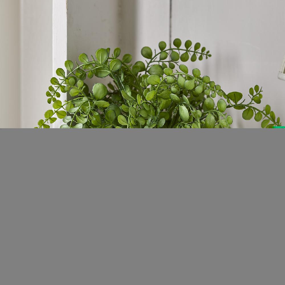 bloom Fern in Ceramic Pot