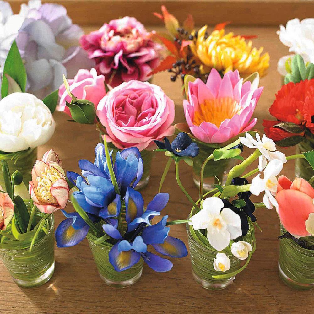 Bloom Flower Of The Month