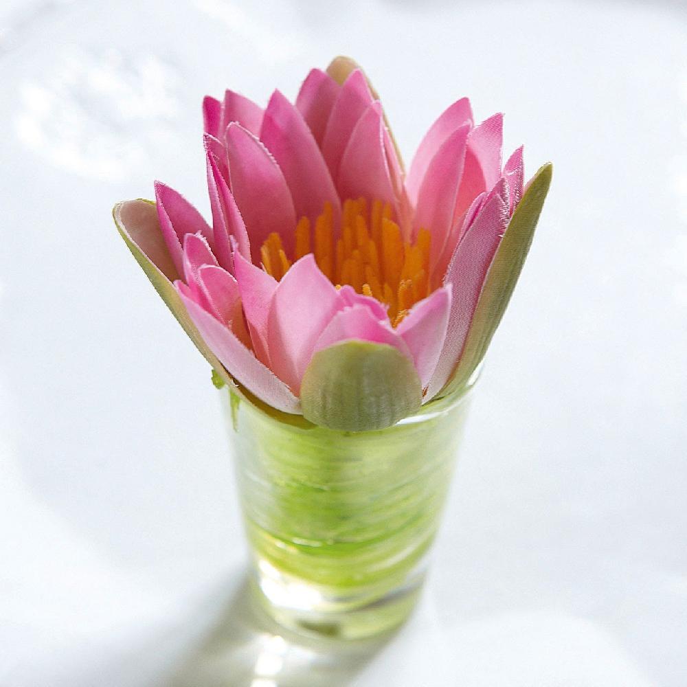 bloom Flower of the Month