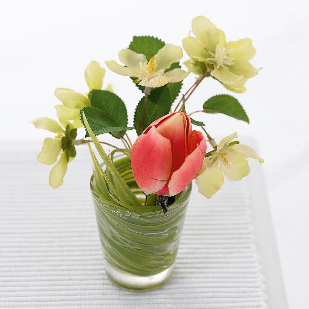 Bloom Flower Of The Month