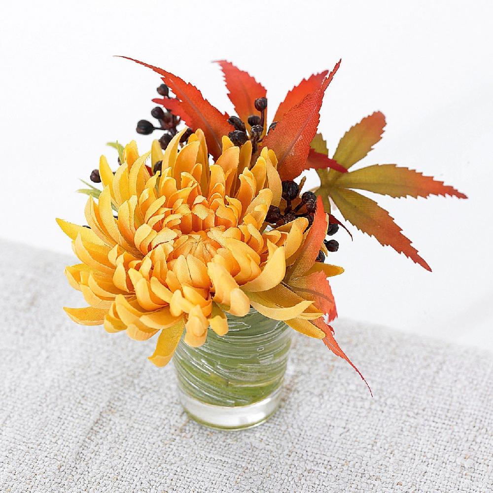 bloom Flower of the Month