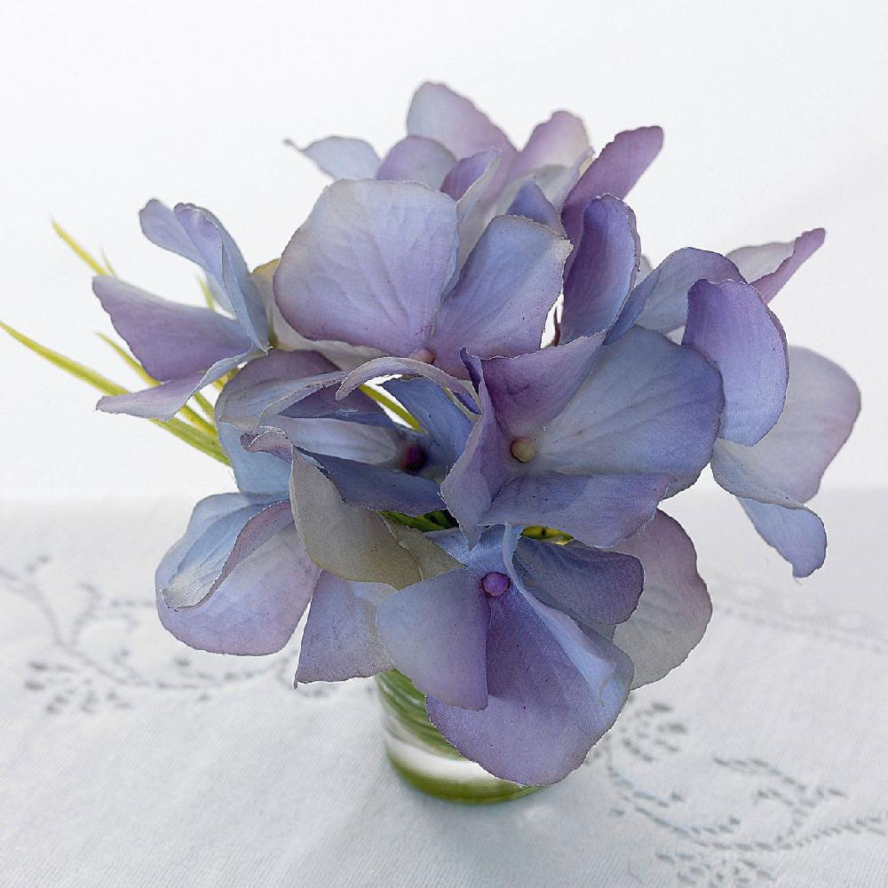 bloom Flower of the Month