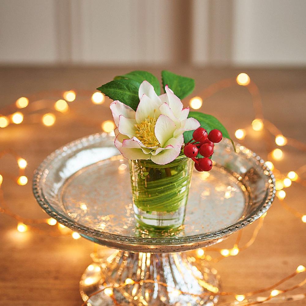 bloom Flower of the Month