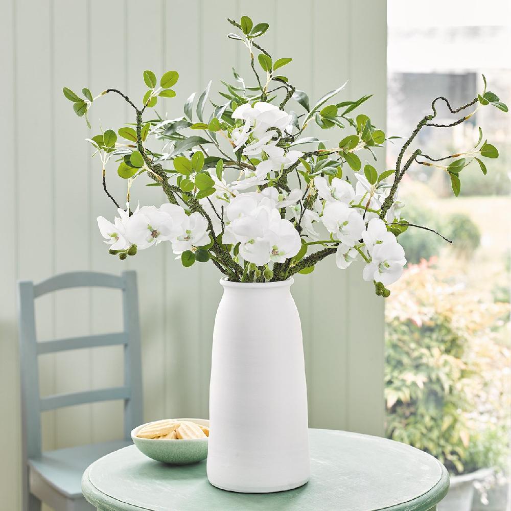 bloom Fresh Energy Collection