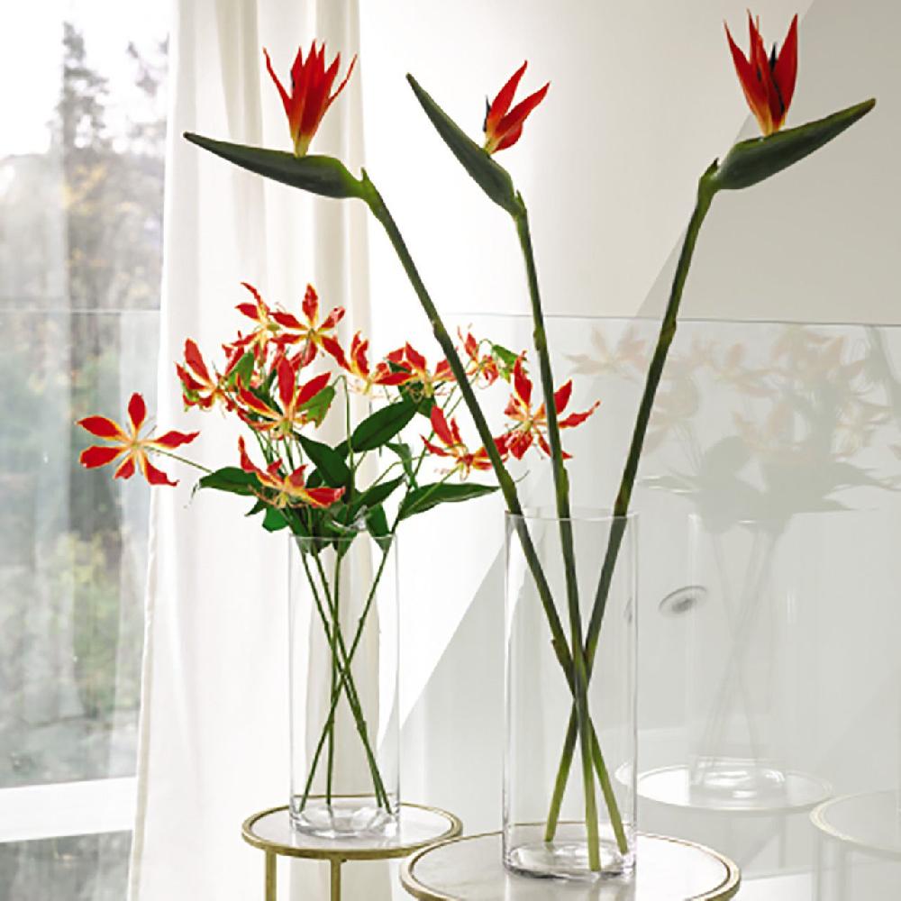 bloom Gloria Lily Stem