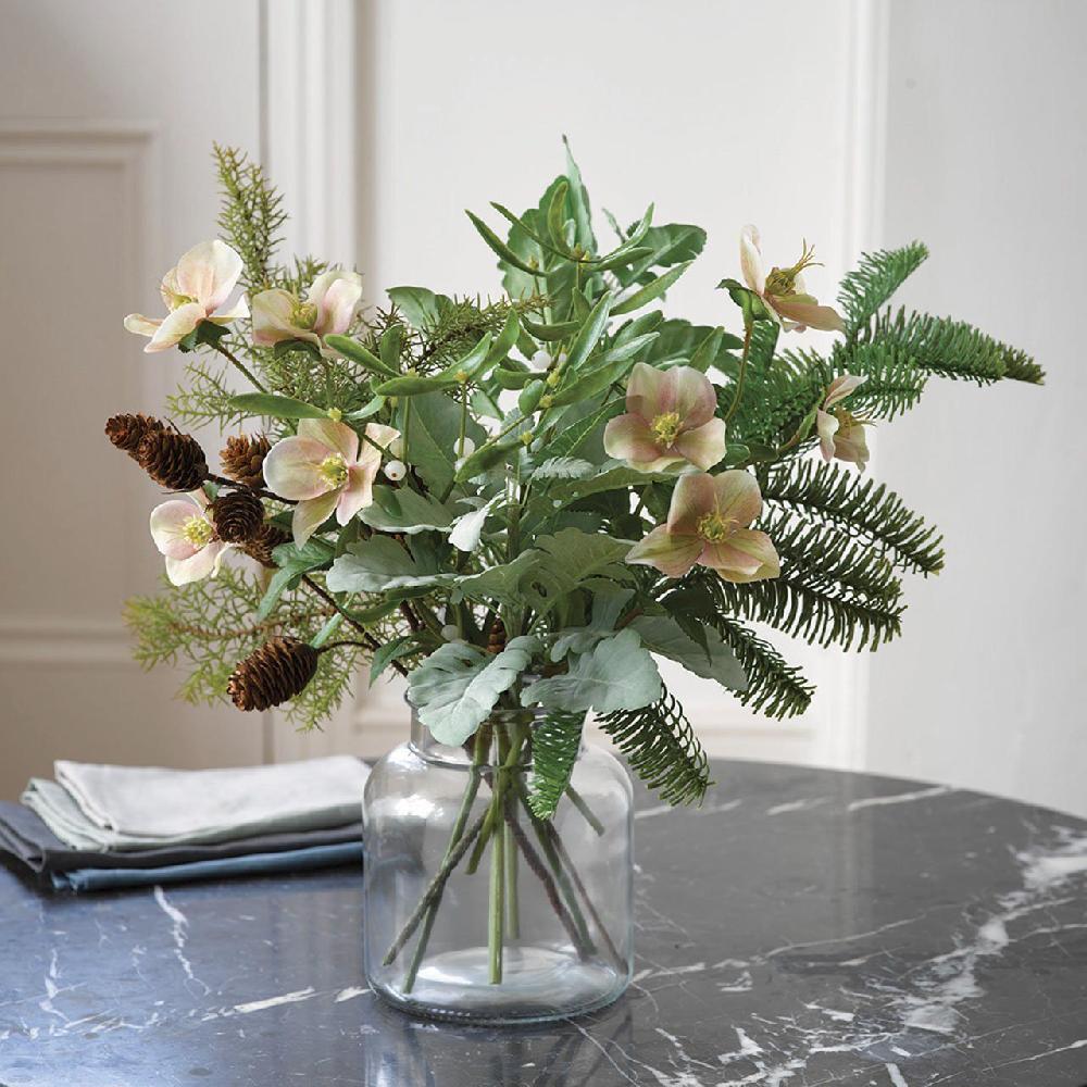 Bloom Hellebore Stem