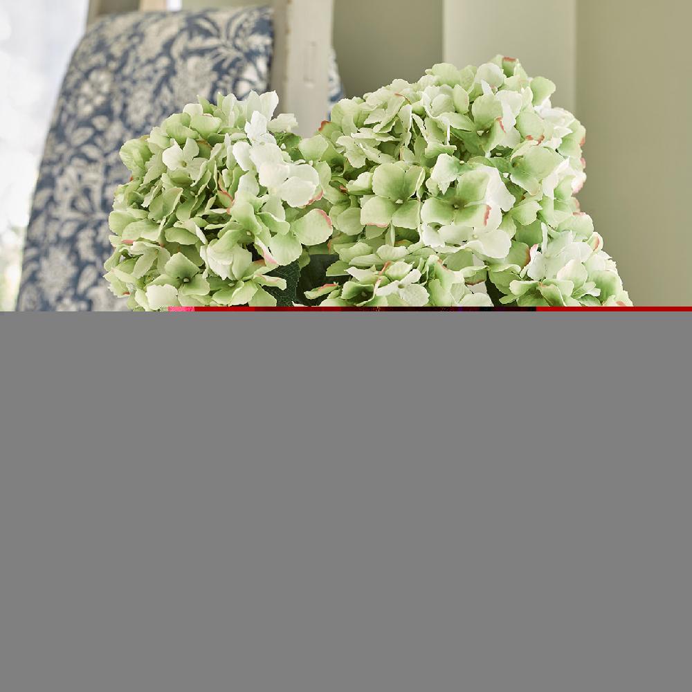 bloom Hydrangeas Arrangement