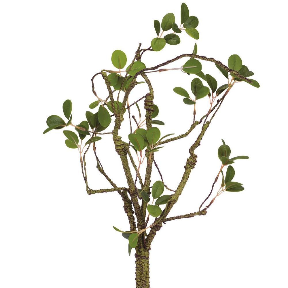 Bloom Jasmine Leaf Stem