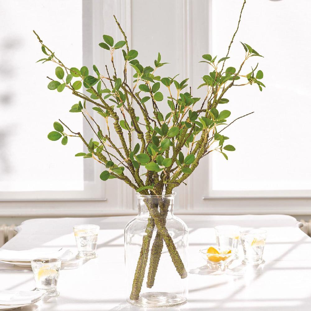 bloom Jasmine Leaf Stem