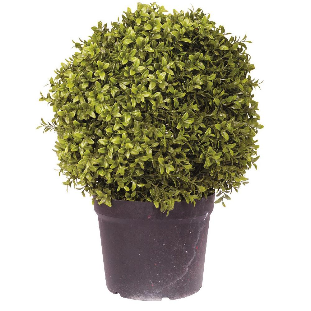 Bloom Large Boxwood Ball Topiary