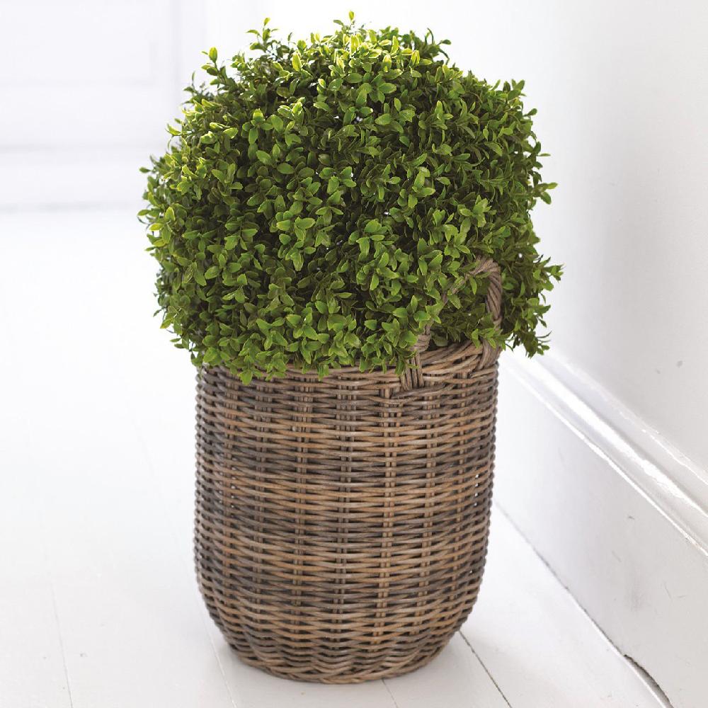 bloom Large Boxwood Ball Topiary