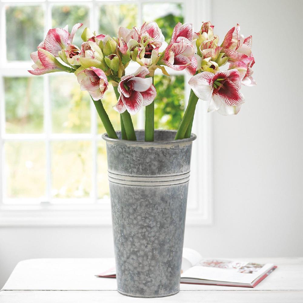 Bloom Large Florist's Bucket