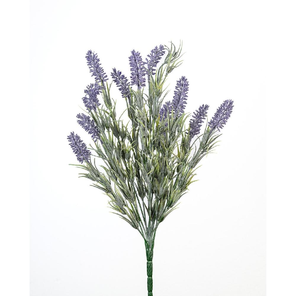 bloom Lavender Bunch