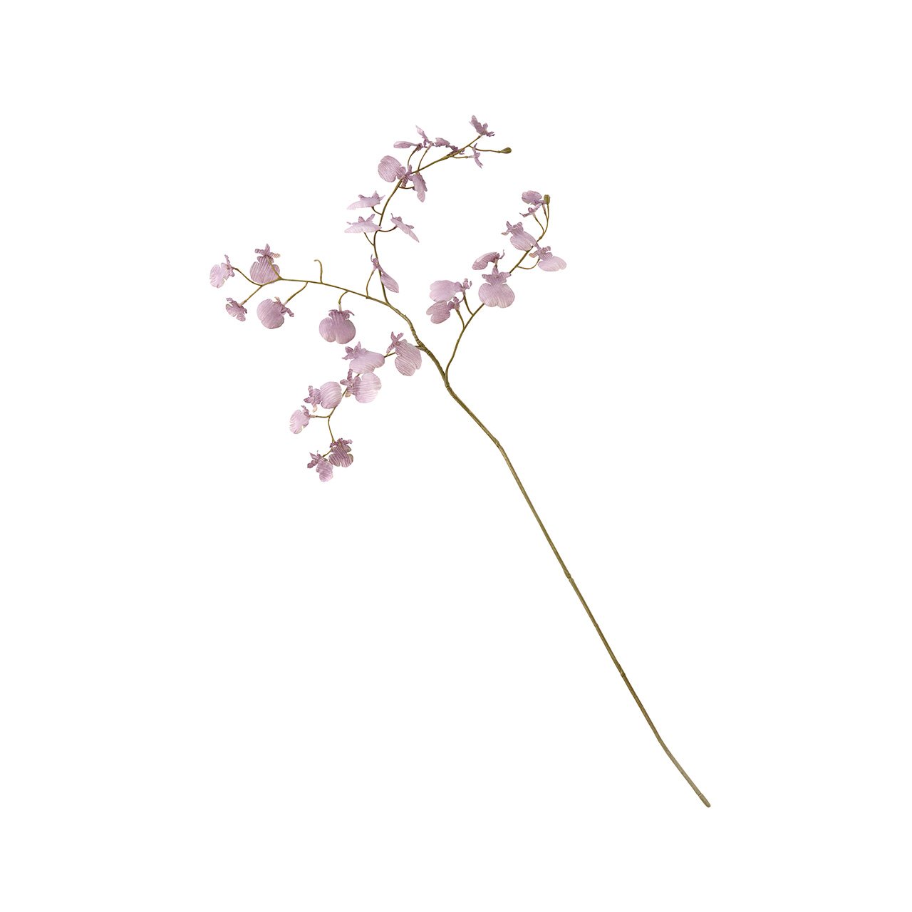 bloom Lilac Dancing Orchid Spray