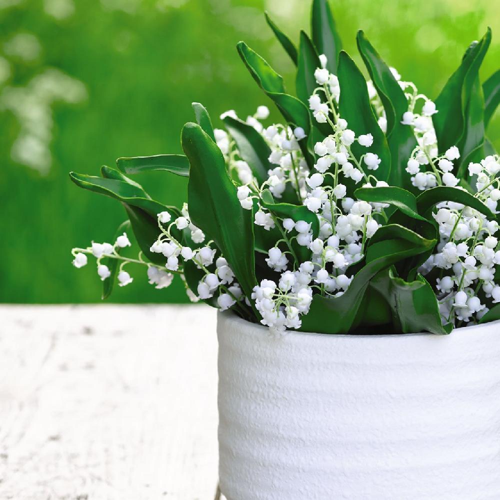 Bloom Lily Of The Valley Bouquet