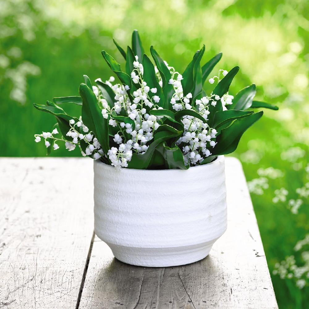 bloom Lily of the Valley Bouquet