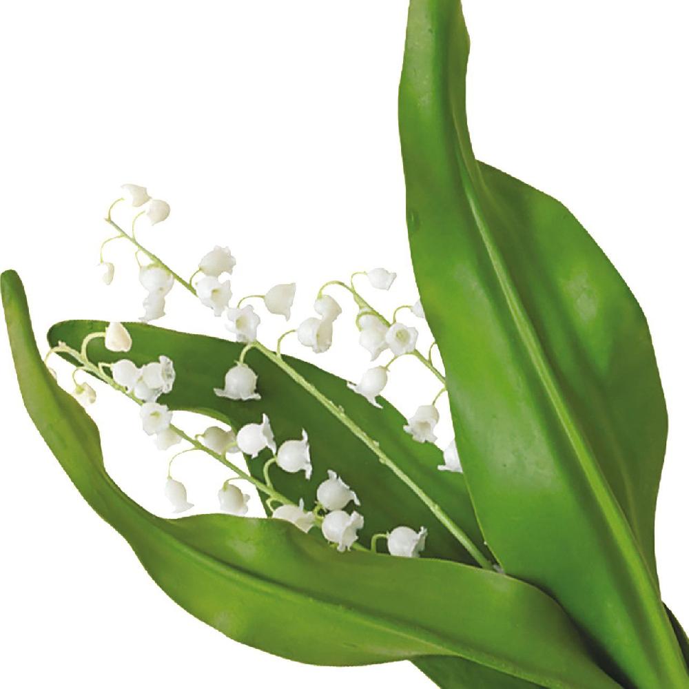 Bloom Lily Of The Valley Stem