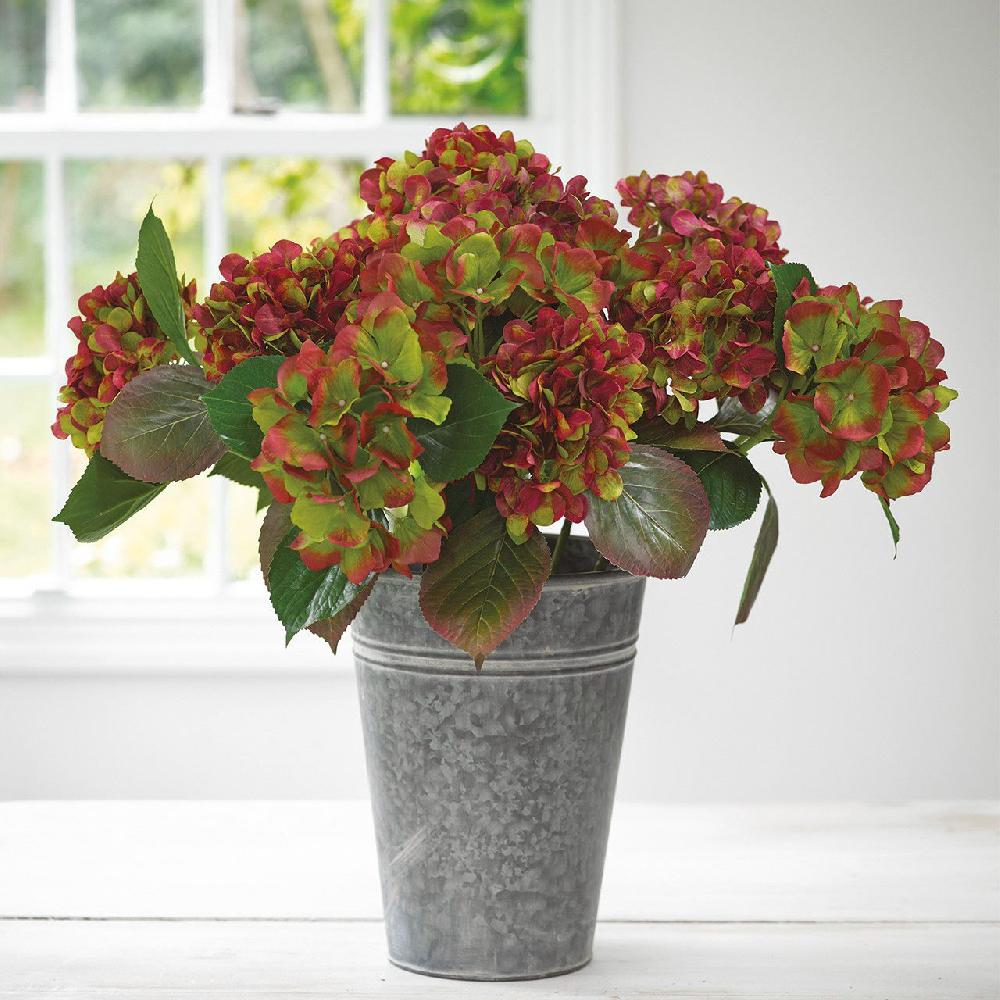 bloom Medium Florist's Bucket