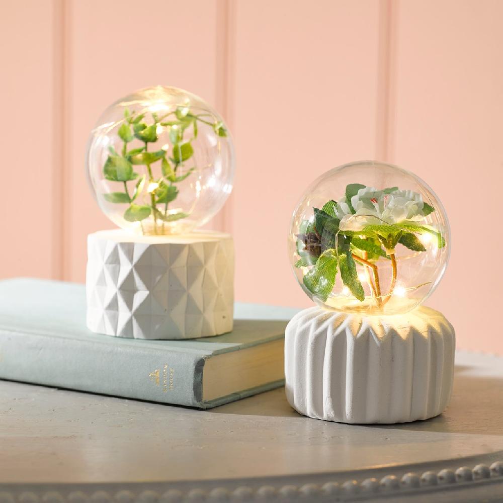 bloom Mini Terrarium Lamps - Set of 2