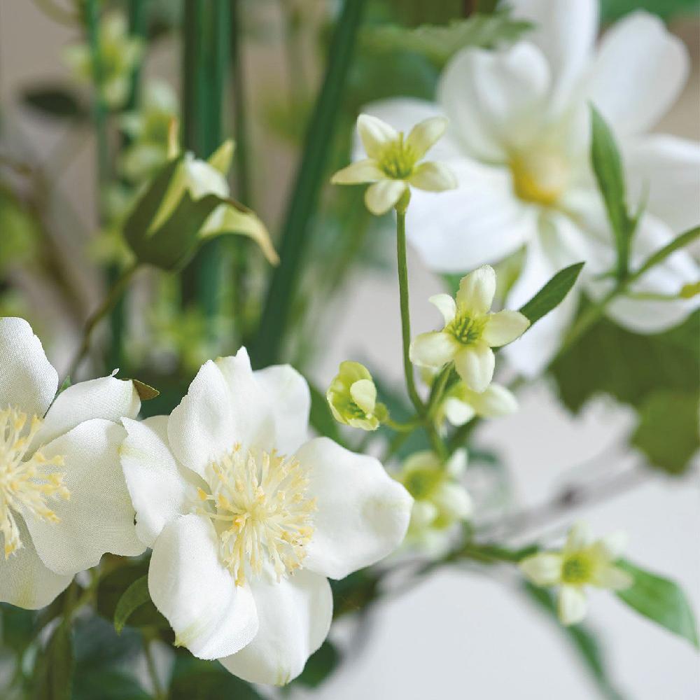 Bloom Mixed White Rose Arrangement