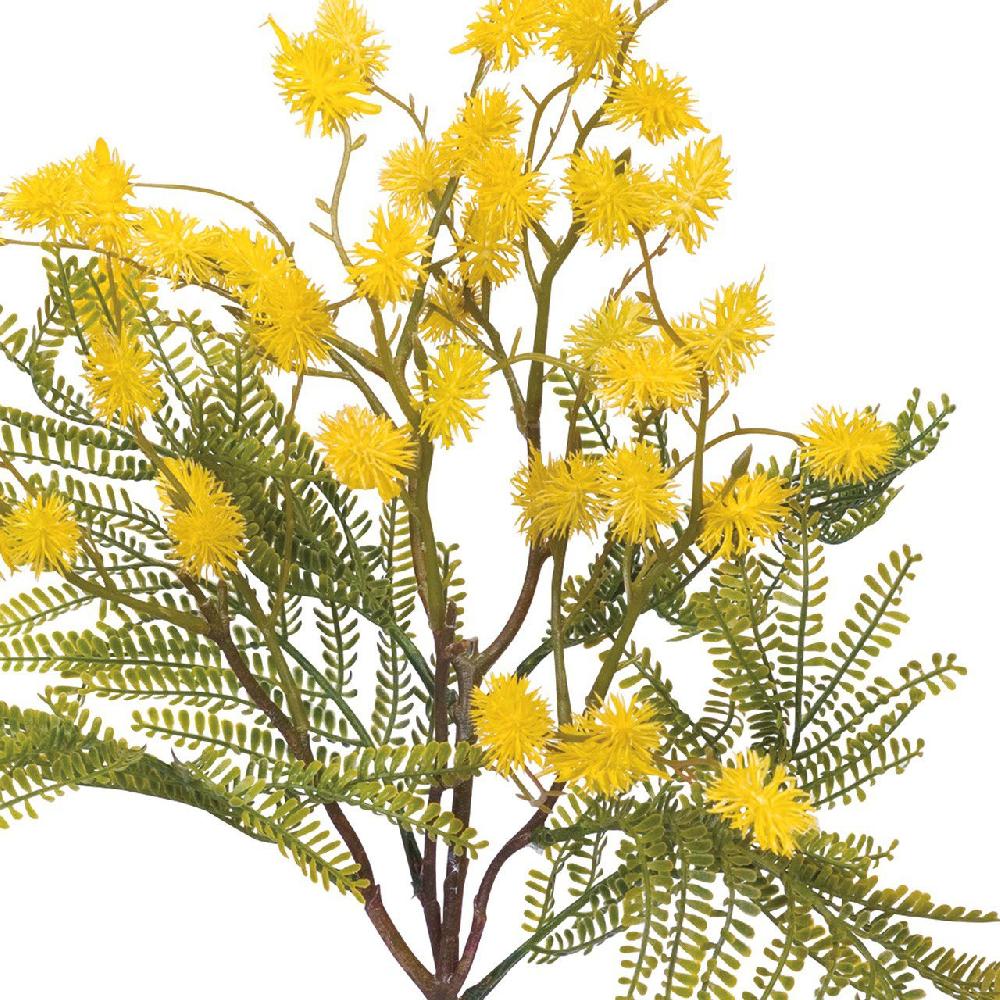 Bloom Nutgrass Spray