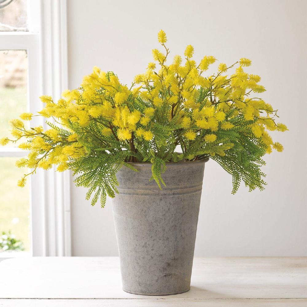 Bloom Nutgrass Spray