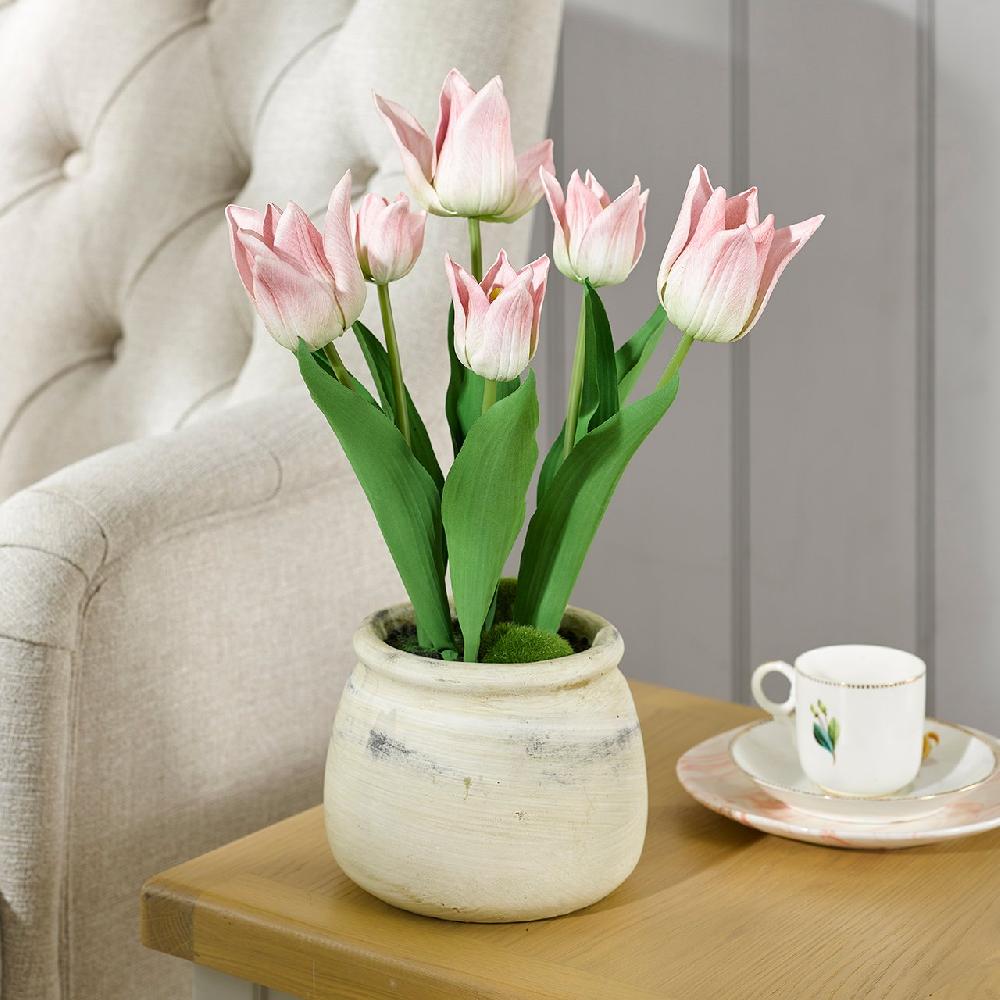 bloom Pale Pink Tulips in Cement Pot