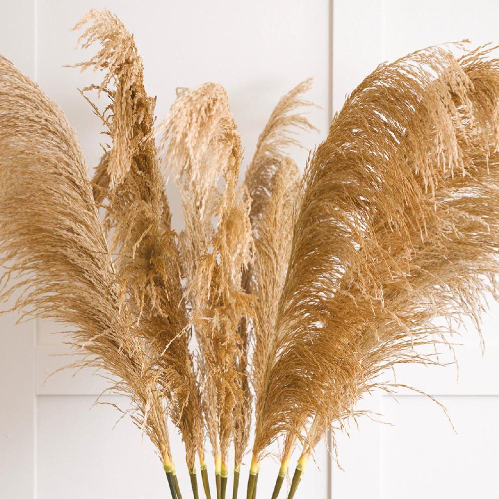 Bloom Pampas Grass Stem