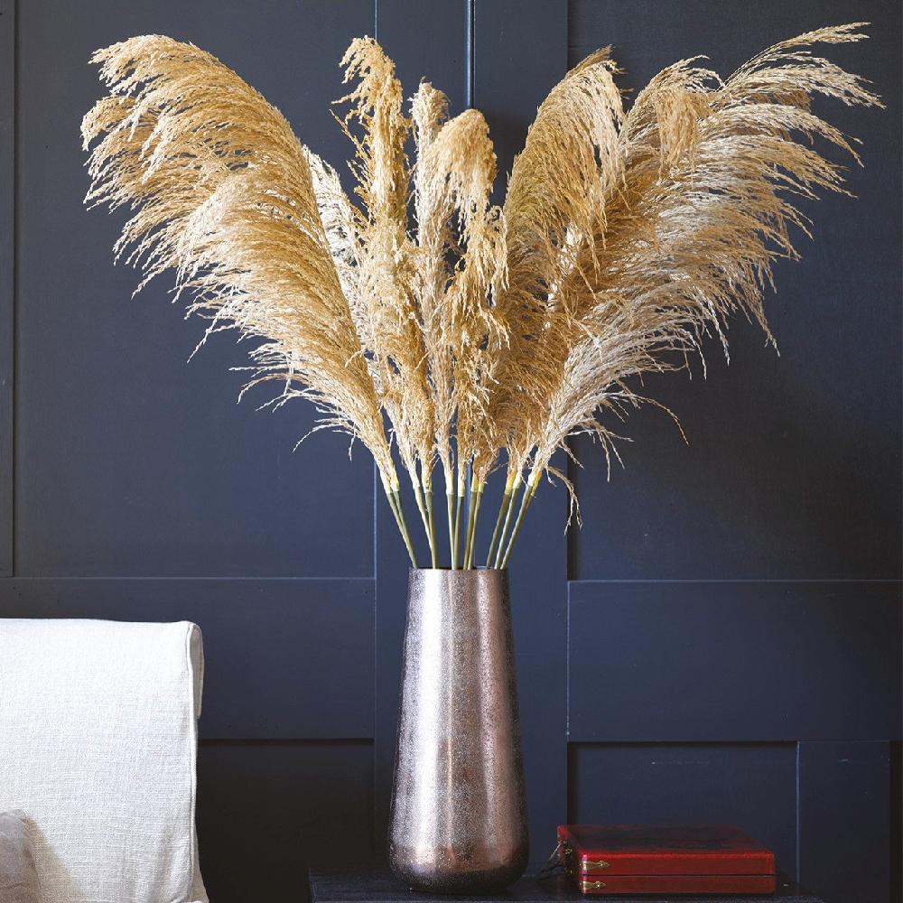 Bloom Pampas Grass Stem