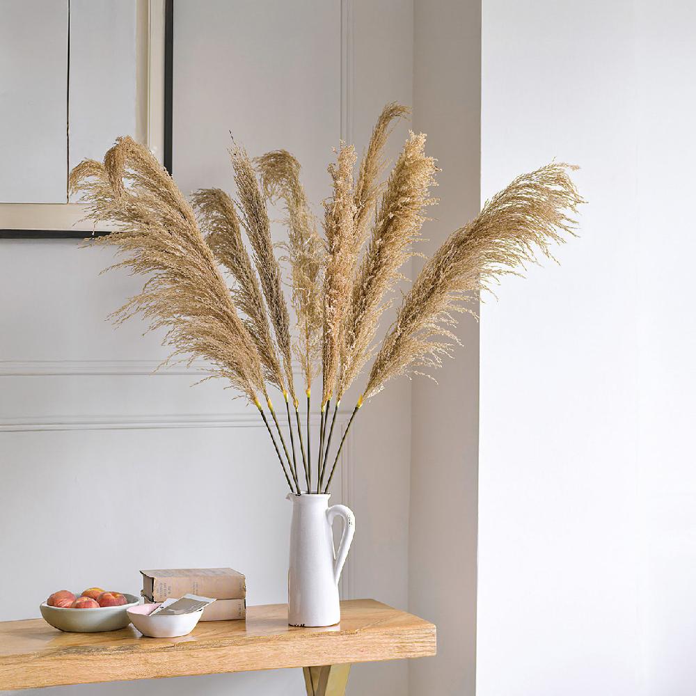 bloom Pampas Grass Stem Set of 9