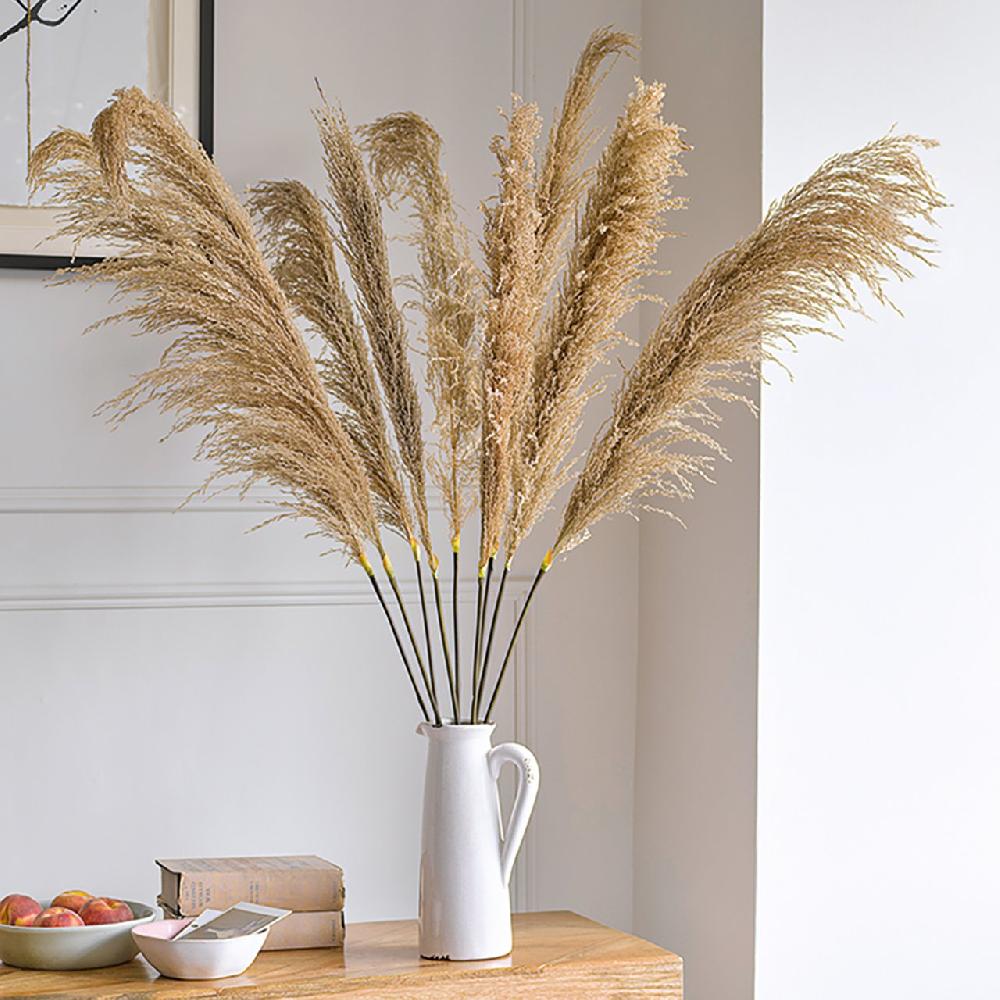 bloom Pampas Grass Stem