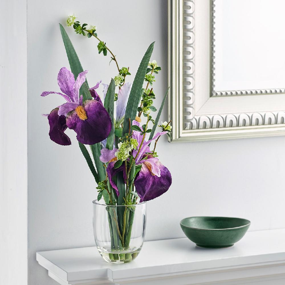 bloom Petite Iris Germanica Arrangement