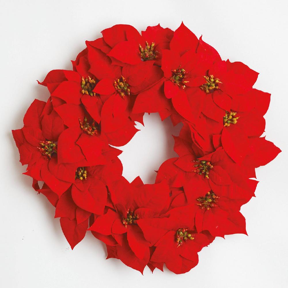 bloom Poinsettia Wreath