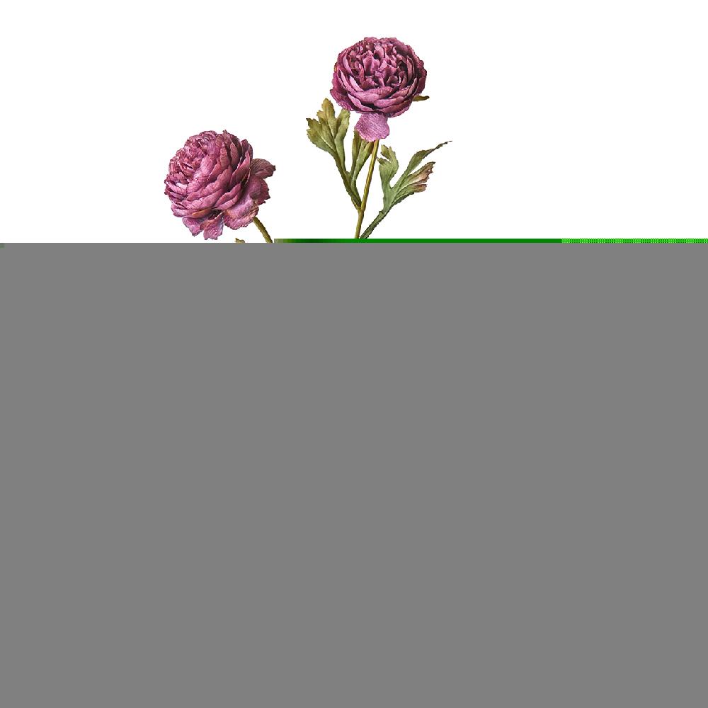 bloom Purple Ranunculus Spray