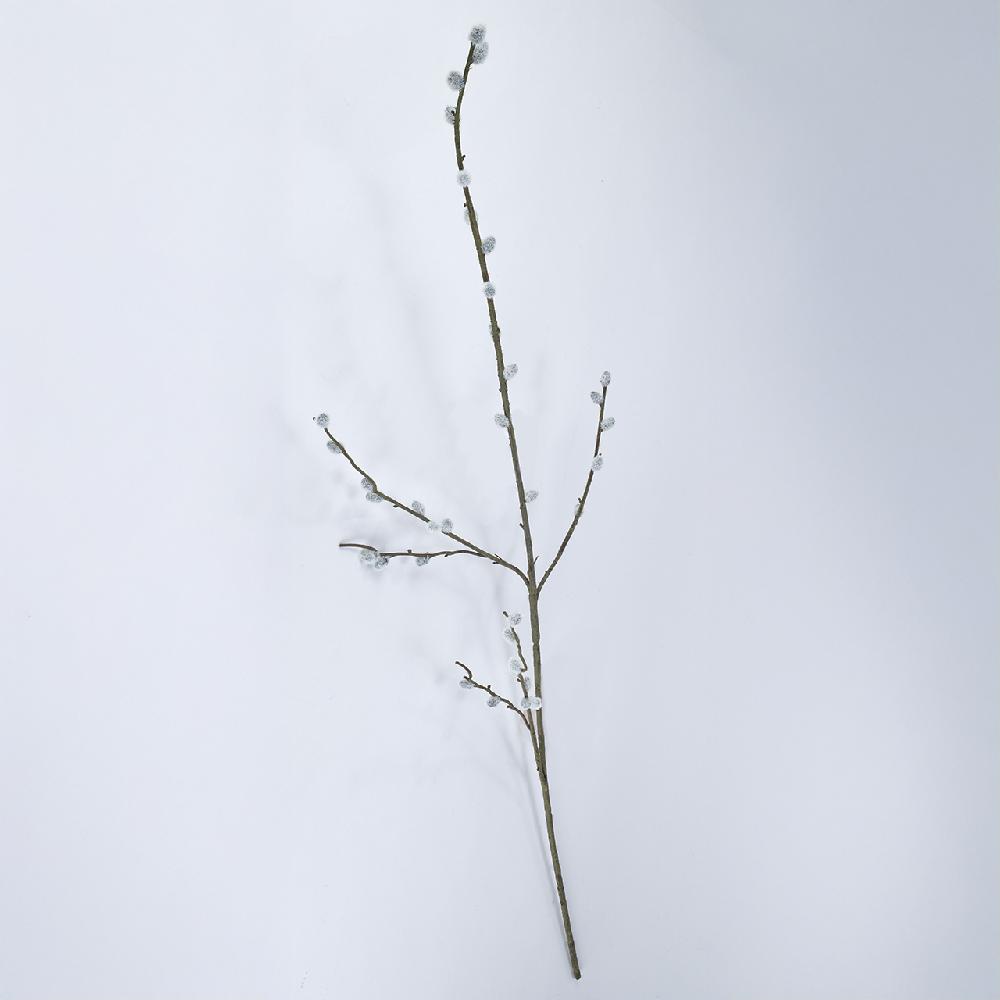 bloom Pussy Willow Branch