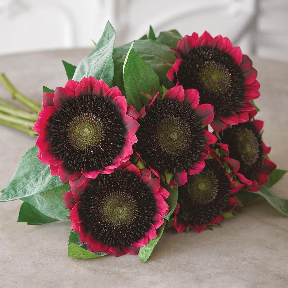 Bloom Red Sunflower Bouquet