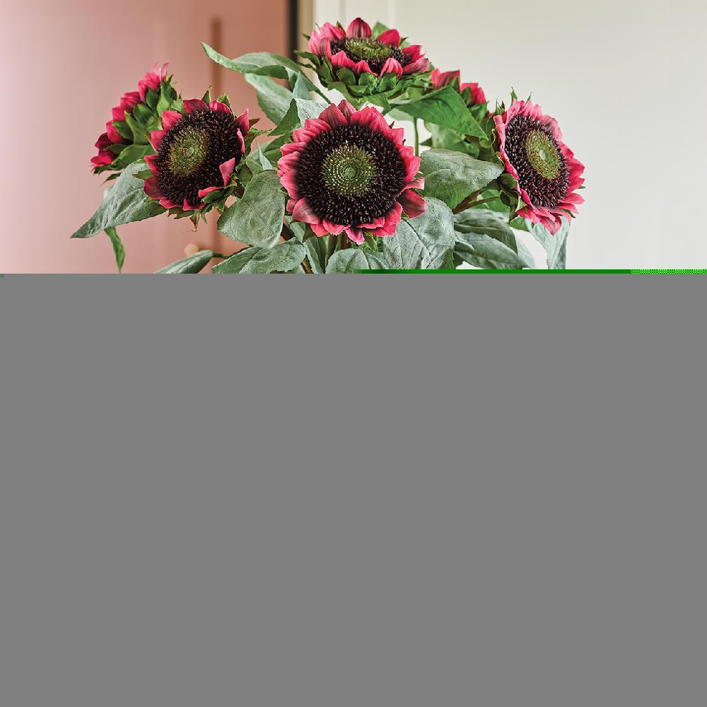 bloom Red Sunflower Collection