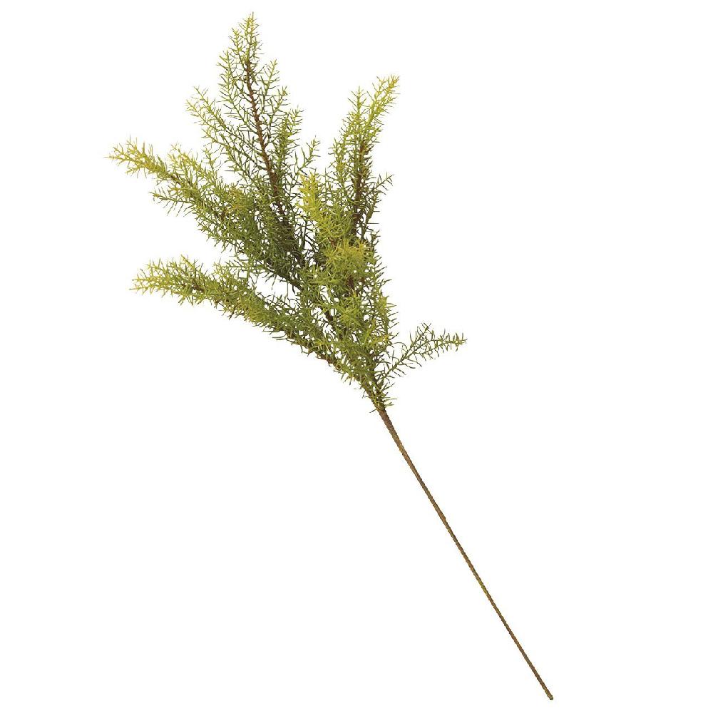 bloom Safari Pine Stem