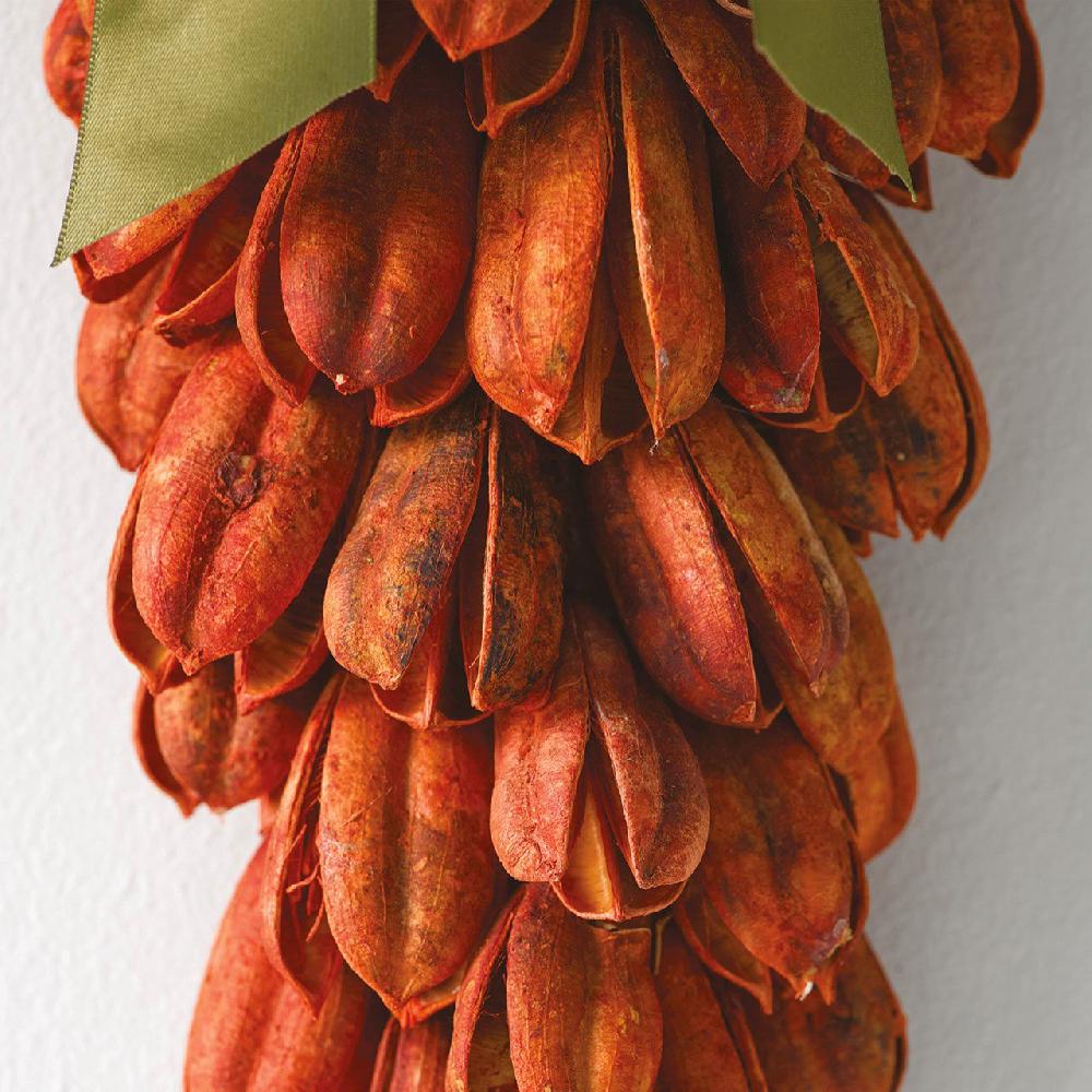 Bloom Seedpod Hanging Carrot Decoration