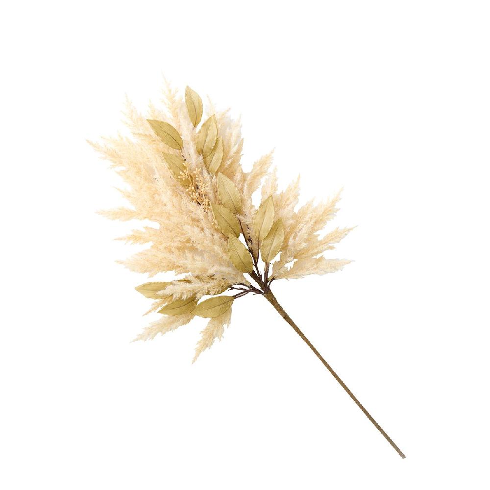 bloom Short Pampas Grass Stem