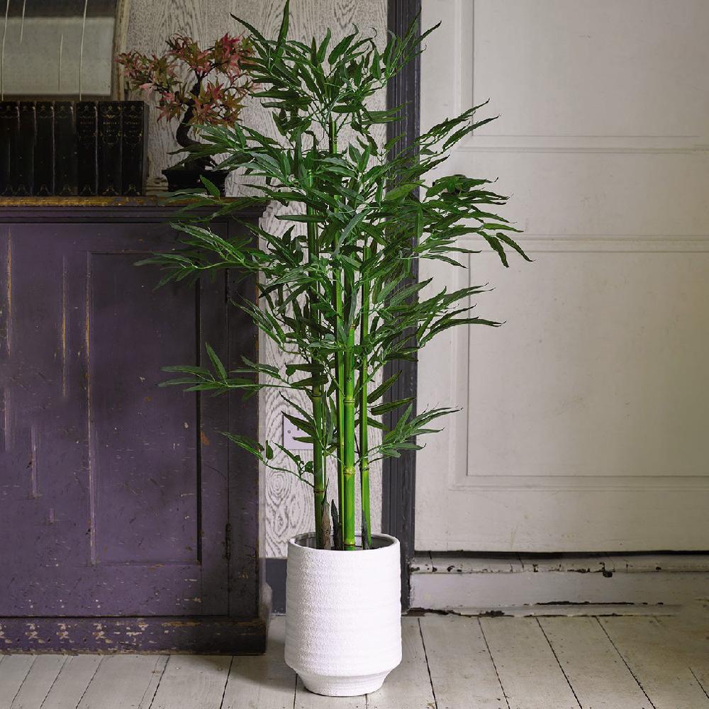 Bloom Tall White Terracotta Vase
